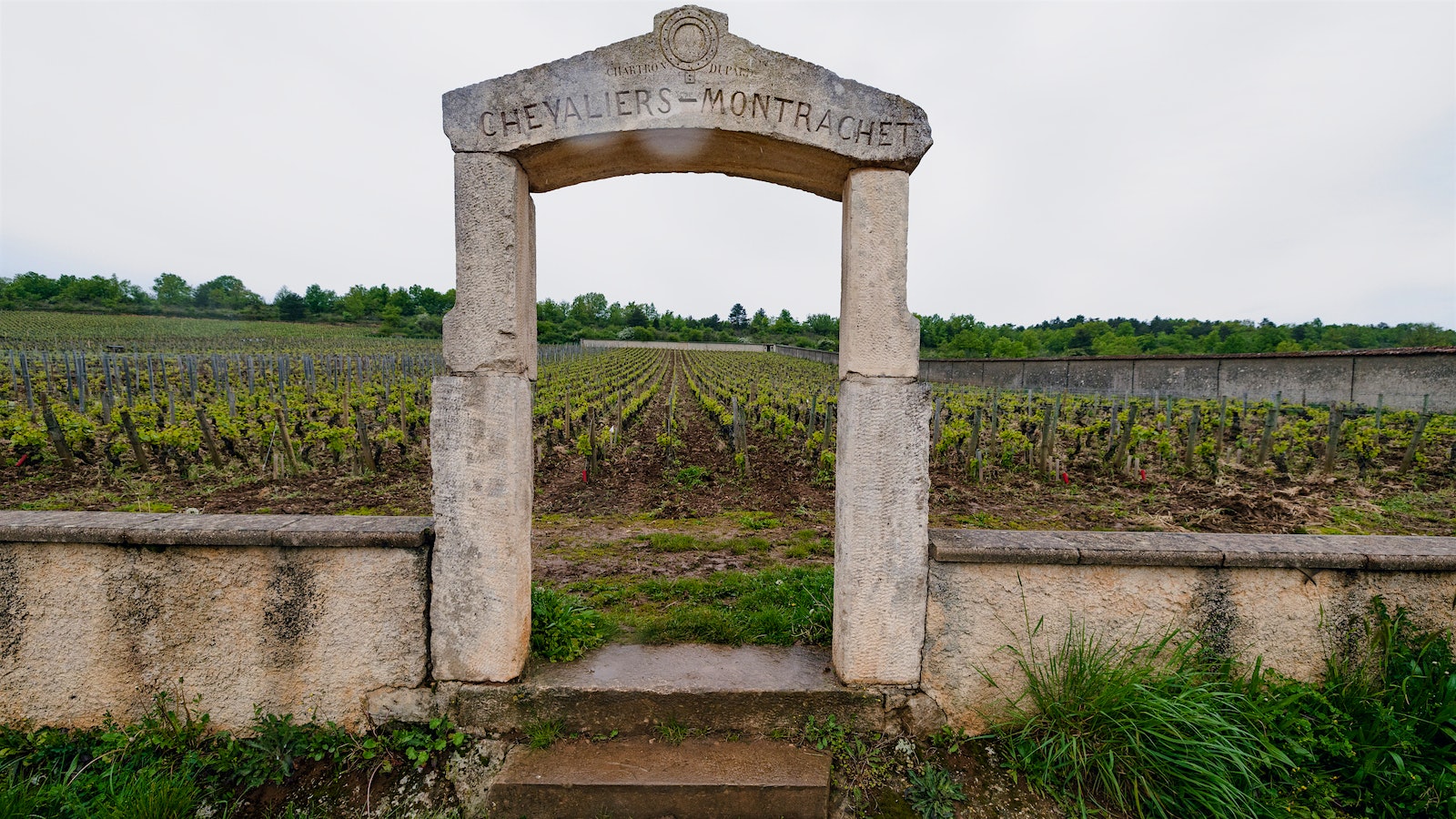 The stone gate in front of Burgundy's famed Chevalier-Montrachet vineyard.